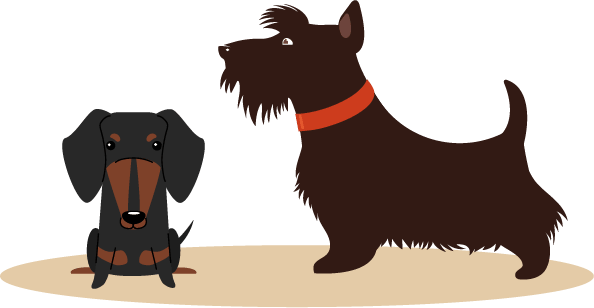 Koko & Knoppix